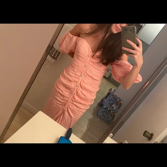 RONNY KOBO STEVIE PINK RUCHED MIDI DRESS SMALL - Picture 3 of 3